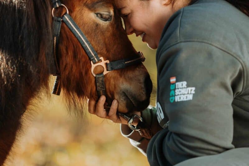 Tag der offenen Türe! Die Pferdeklappe feiert am 28.9.2024 ihr dreijähriges Bestehen. © Österreichsicher Tierschutzverein