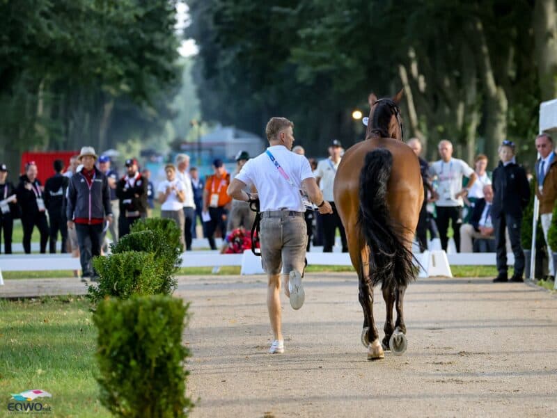 Top Trot-Up: Max Kühner (T) und Elektric Blue P beim Vetcheck der olympischen Spiele in Paris. © EQWO.net | Petra Kerschbaum