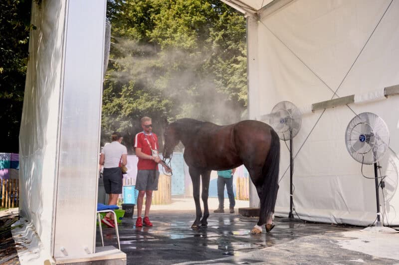 33,8 Grad: die FEI setzte in Versailles Maßnahmen zur Abkühlung der Pferde ein. © FEI | Liz Gregg