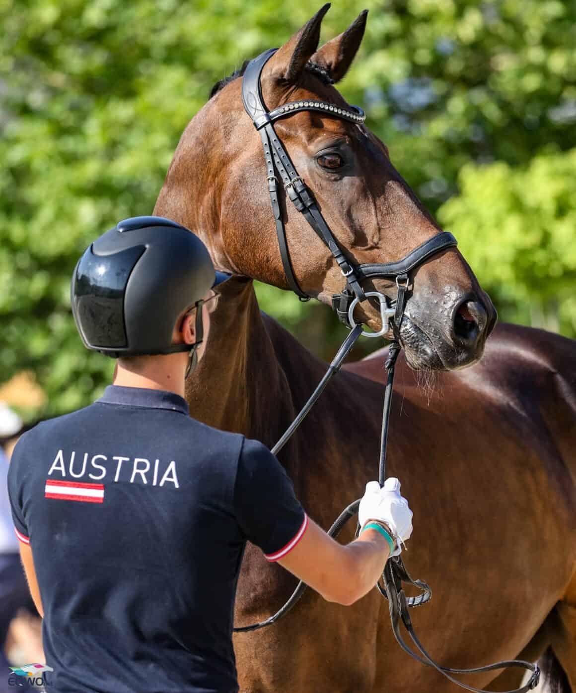 EM St. Margarethen: Leon Aschauer (W) und Formidable © EQWO.net