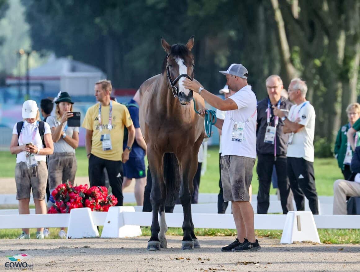 Reserverpaar Christoph Obernauer (T) und Kleons Renegade sind topfit und bereits jederzeit einzuspringen. © EQWO.net | Petra Kerschbaum