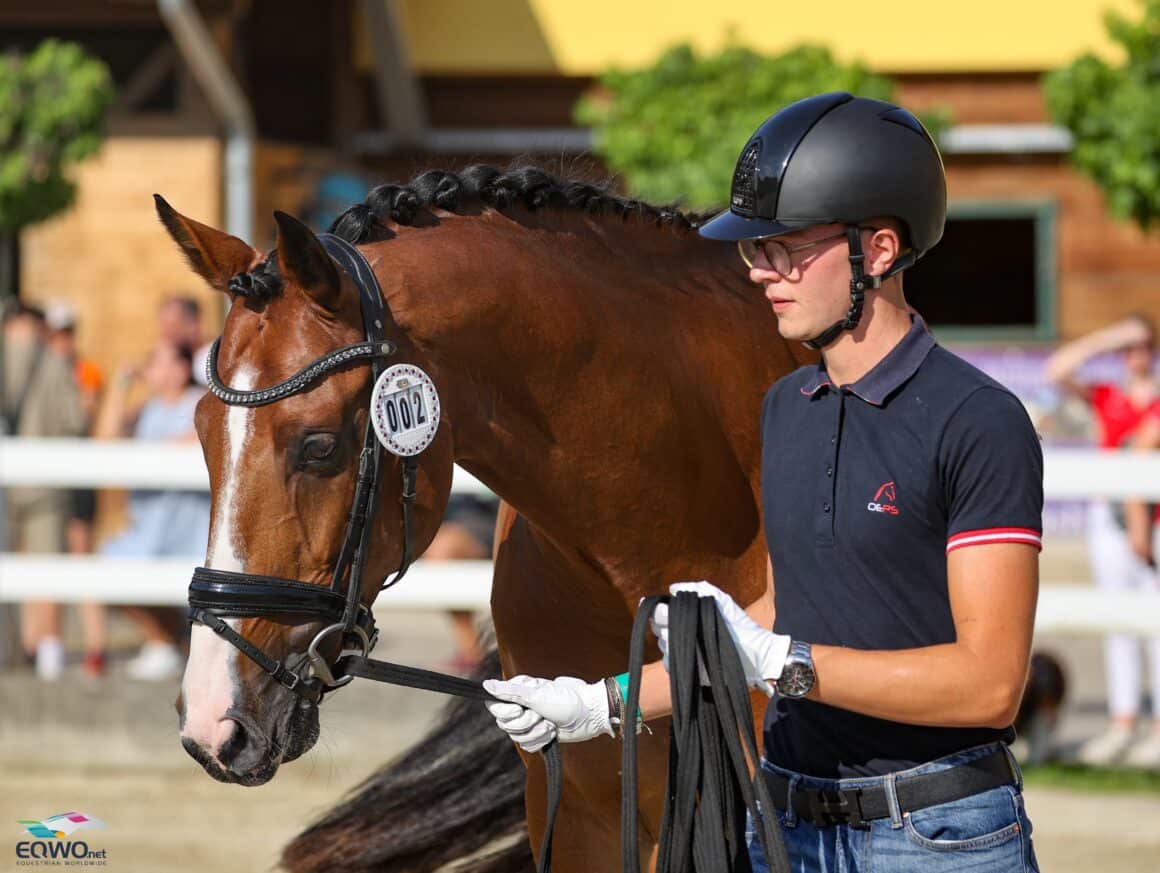 Leon Aschauer (W) stellt Valentina Friedl's (ST) Korefan beim Vetcheck vor. © EQWO.net