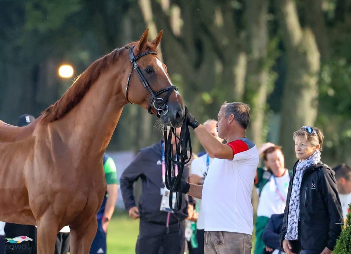 Paris 2024: Gerfried Puck (T) und Naxcel V sind "fit to compete". © EQWO.net | Petra Kerschbaum