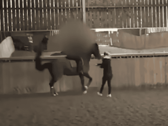 Das Video zeigt Charlotte Dujardin, wie sie mehrmals auf die Beine eines Pferdes schlägt. © Youtube Screenshot:The Telegraph
