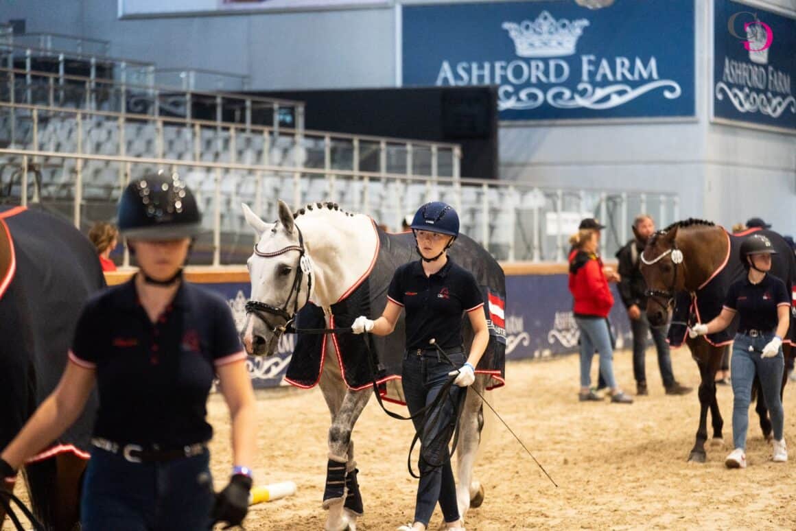 "Fit to compete": Der Vetcheck in Opglabbeek verlief für das Team Austria anstandslos. © Carina Gosch