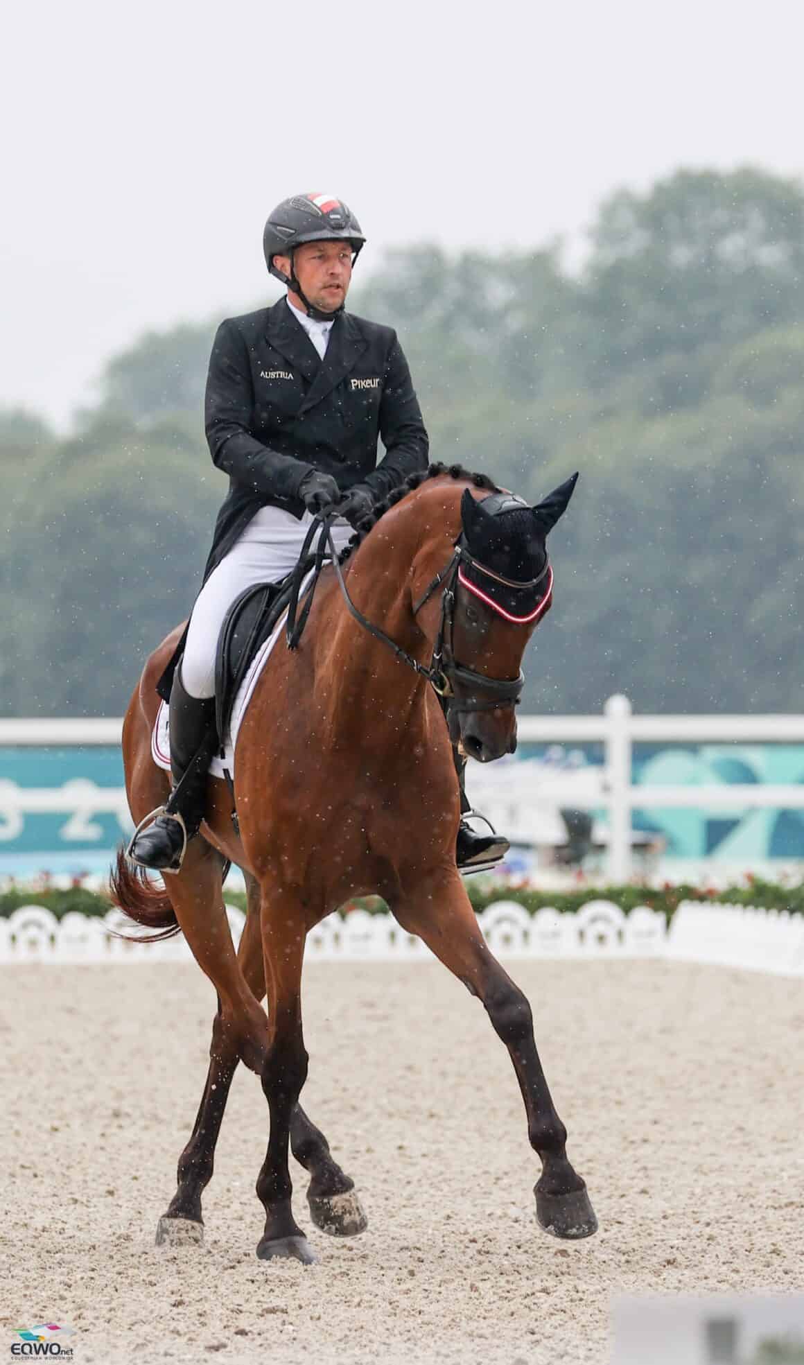 Der Selle-Francais-Wallach Vitorio du Montet kommt unter Harald Ambros (OÖ) zurück in sein Heimatland Paris! © EQWO.net | Petra Kerschbaum