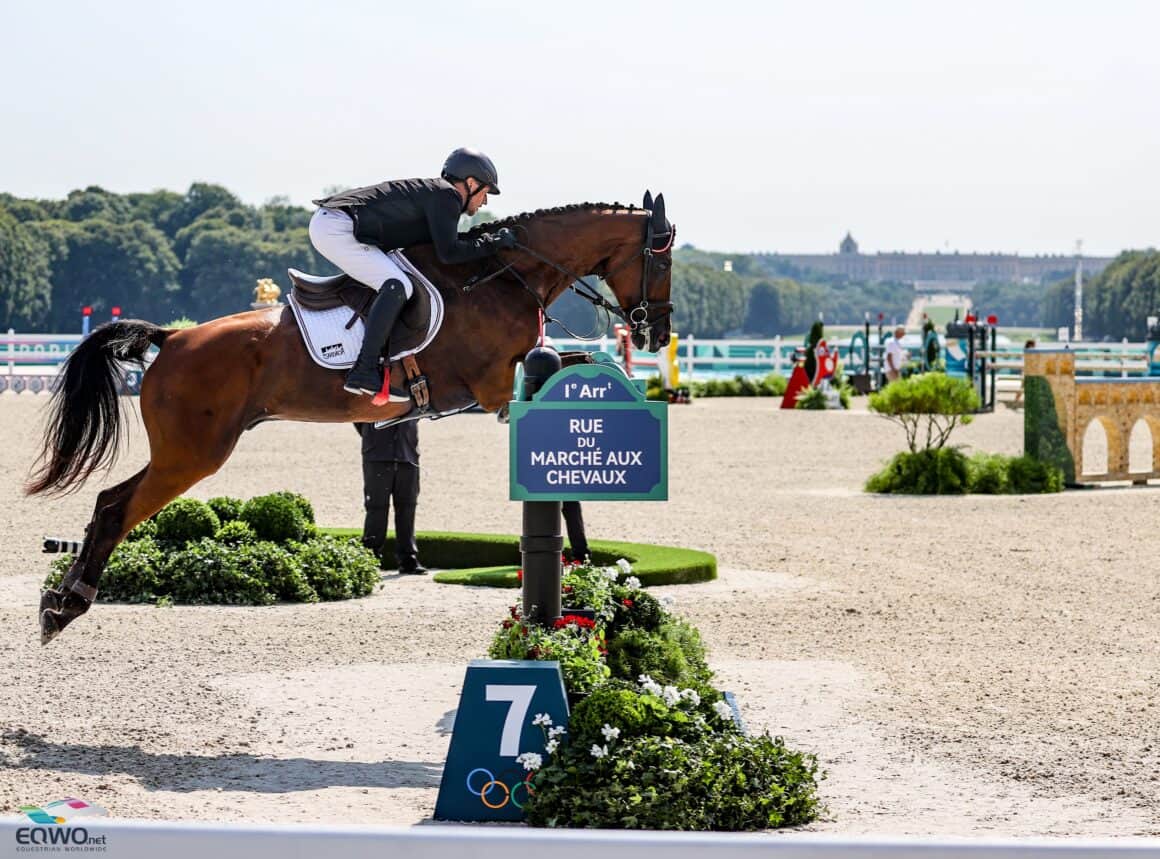 Vitorio du Montet zeigte sich an Tag drei der Olympischen Spiele unter Harald Ambros (OÖ) topfit und frisch! © EQWO.net | Petra Kerschbaum