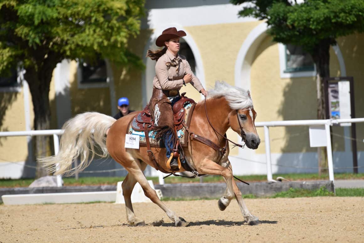 Haflinger können auch Western! Judith Faller (ITA) zeigte beim Europachampionat in Stadl-Paura wie's geht. © TEAM myrtill