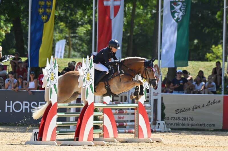 Haflinger Europachampionat 2024: Österreich holt zehn Goldmedaillen! © TEAM myrtill