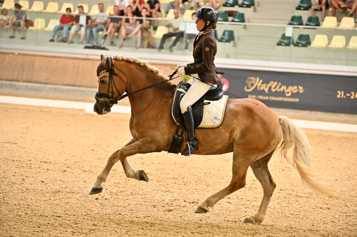 Haflinger Championat: Österreichs Tina Kainer holt in der Dressur Gold! © TEAM myrtill