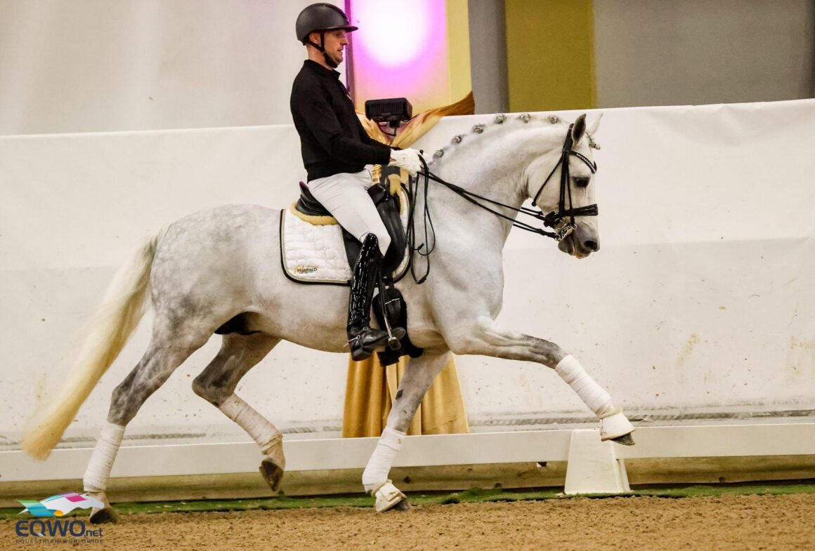 Matthias Bouten (GER) stellte die Pramwaldhof-Hengste von Jungpferde-Prüfungen bis zur Könisgklasse vor. © EQWO.net | Petra Kerschbaum