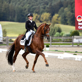 Isabell Werth (GER) stellte beim CDI3* in Hagen den ehemaligen Doppelweltmeister Gut Wettlkam's D'Avie FRH vor. © Foto Dirk Rüchel