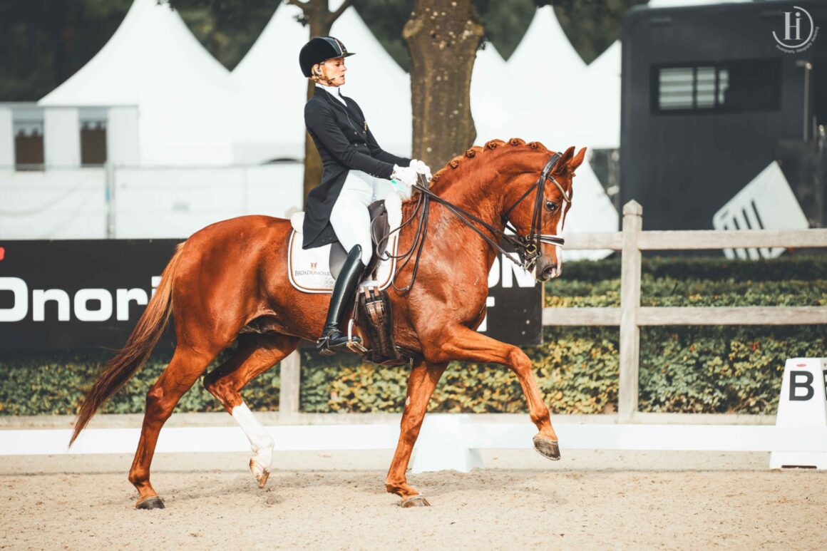 Bettina Kendlbacher (ST) und Don Alfredo AWÖ gingen in Ermelo beim CDI3* an den Start und knackten in der Kür die 70%-Marke. © Helene Iljazovic