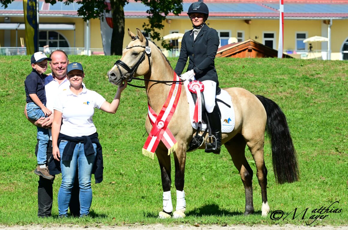 Bestes AWÖ-Reitpony 2024: Double Jackpot PP (Dallmayr K x The Braes My Mobility). © Matthias Mayer
