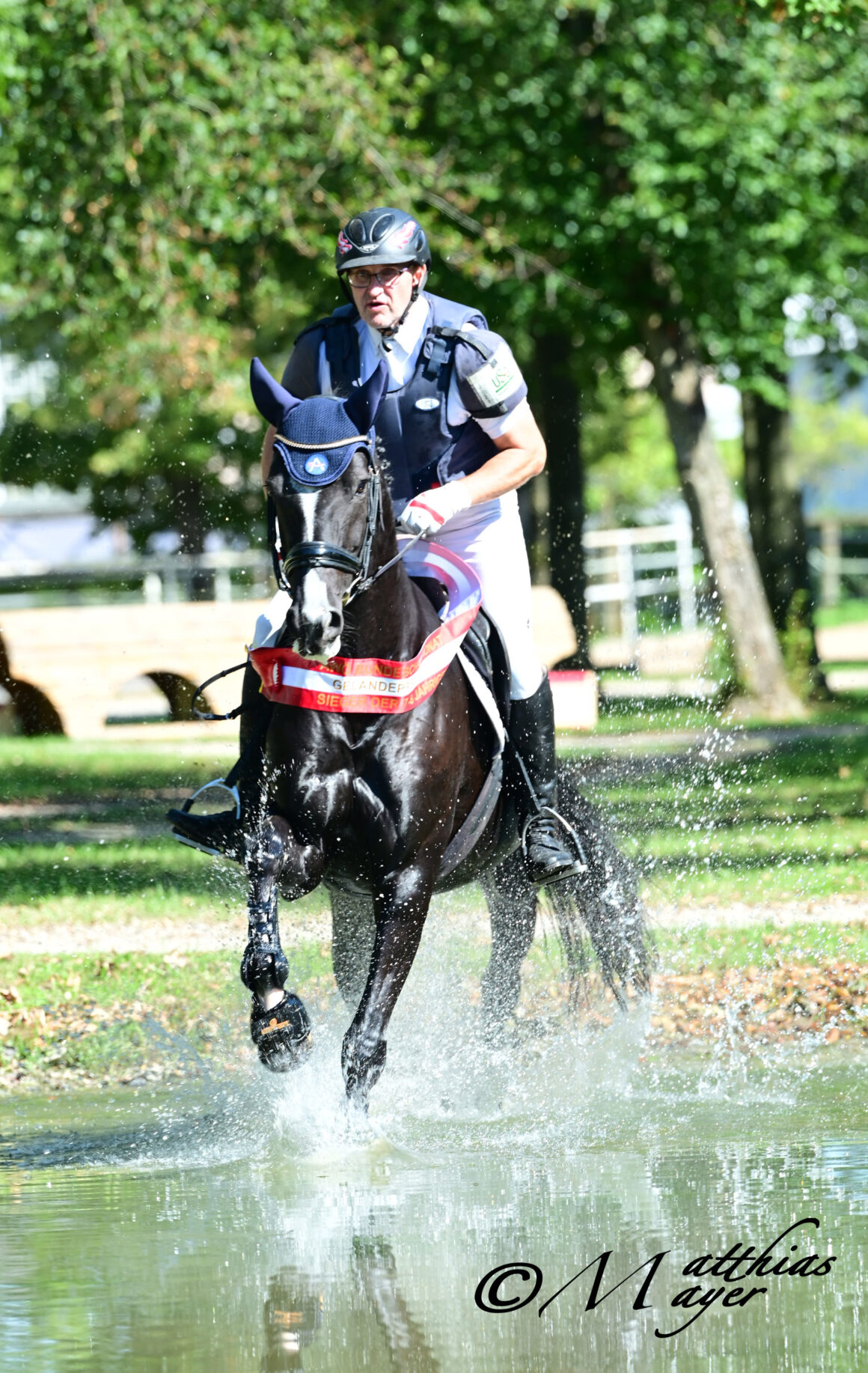 AWÖ-Bundeschampioness der 7-8jährigen Geländepferde: Miss Merida (Stauffenberg x Bajazzo) aus der Zucht von Lisanne Radl. © Matthias Mayer