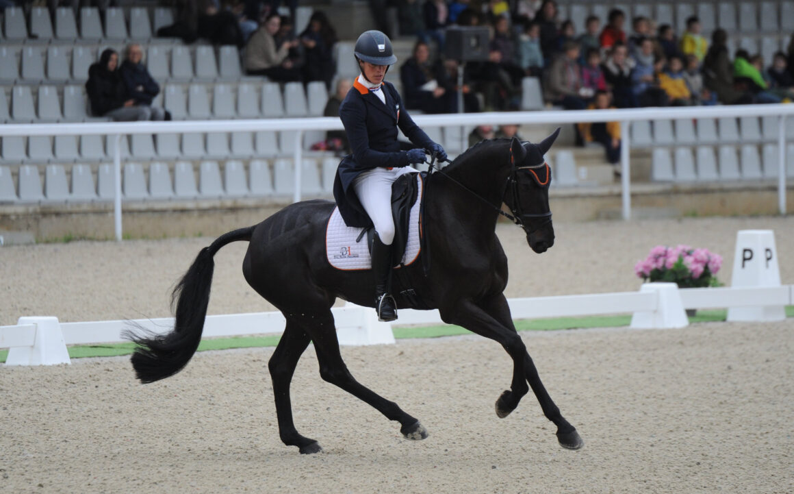 Killer Queen v. I’m Special de Muze wurde unter ihrer Reiterin Merel Blom-Hulsman (NED) Weltmeisterin der sechsjährigen Geländepferde. © FEI/Ecary