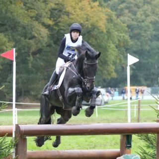 Lea Siegl (OÖ) und Van Helsing P belegten im niederländischen Boekelo Platz 18 in der langen Vier-Sterne-Prüfung. © FB: Eventing-Inside