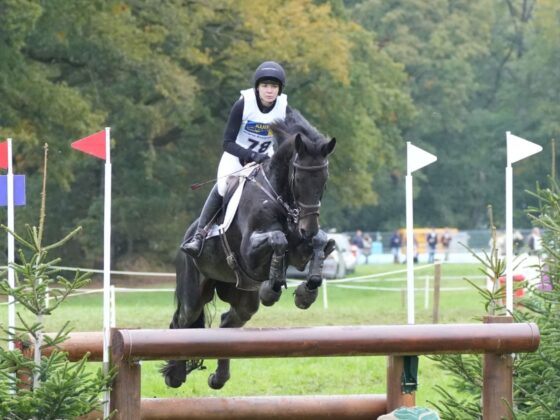 Lea Siegl (OÖ) und Van Helsing P belegten im niederländischen Boekelo Platz 18 in der langen Vier-Sterne-Prüfung. © FB: Eventing-Inside