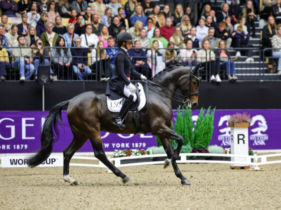 Oh Freestyle! Cathrine Laudrup-Dufour (DEN) dirigert ihre Super-Stute Mount St John Freestyle in der Weltcup-Kür zu knapp 89%. © FEI