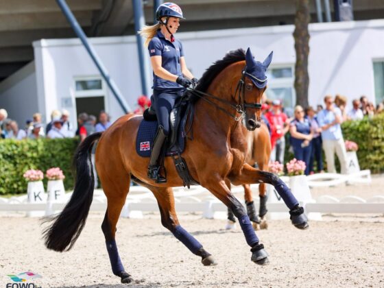 Jessica von Bredow-Werndl (GER) hat einen neuen Kracher unter dem Sattel: Times Kismet! © EQWO.net | Petra Kerschbaum