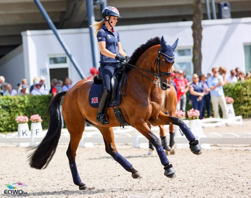 Jessica von Bredow-Werndl (GER) hat einen neuen Kracher unter dem Sattel: Times Kismet! © EQWO.net | Petra Kerschbaum