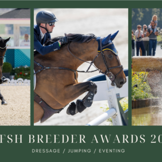 Das sind die Gewinner der WBFSH Breeder Awards 2024 in den Kategorien Dressur, Springen und Vielseitigkeit! © WBFSH