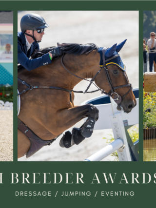 Das sind die Gewinner der WBFSH Breeder Awards 2024 in den Kategorien Dressur, Springen und Vielseitigkeit! © WBFSH