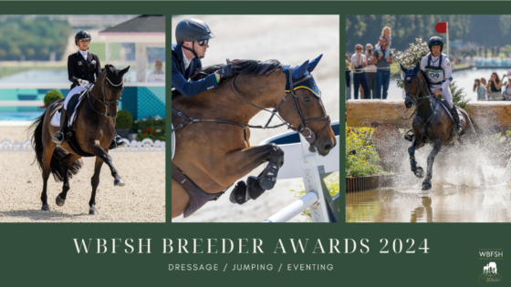 Das sind die Gewinner der WBFSH Breeder Awards 2024 in den Kategorien Dressur, Springen und Vielseitigkeit! © WBFSH