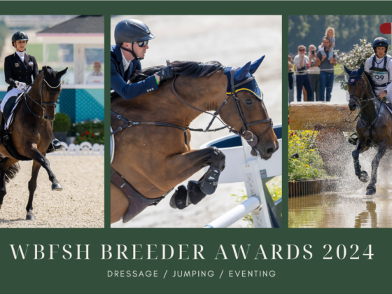 Das sind die Gewinner der WBFSH Breeder Awards 2024 in den Kategorien Dressur, Springen und Vielseitigkeit! © WBFSH