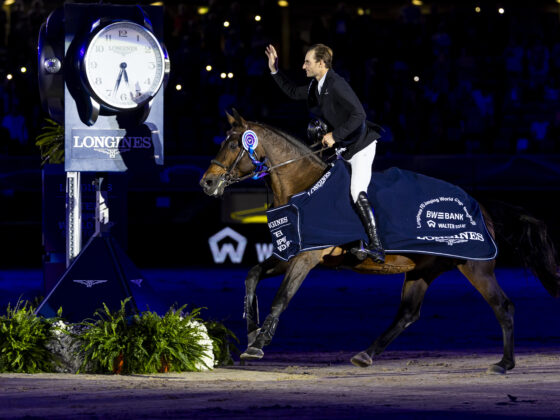 Mit einem pfeilschnellen und fehlerfreien Ritt im Stechen sicherten sich Richard Vogel und United Touch S den Sieg im Weltcup-Springen von Stuttgart. © FEI | Leanjo de Koster