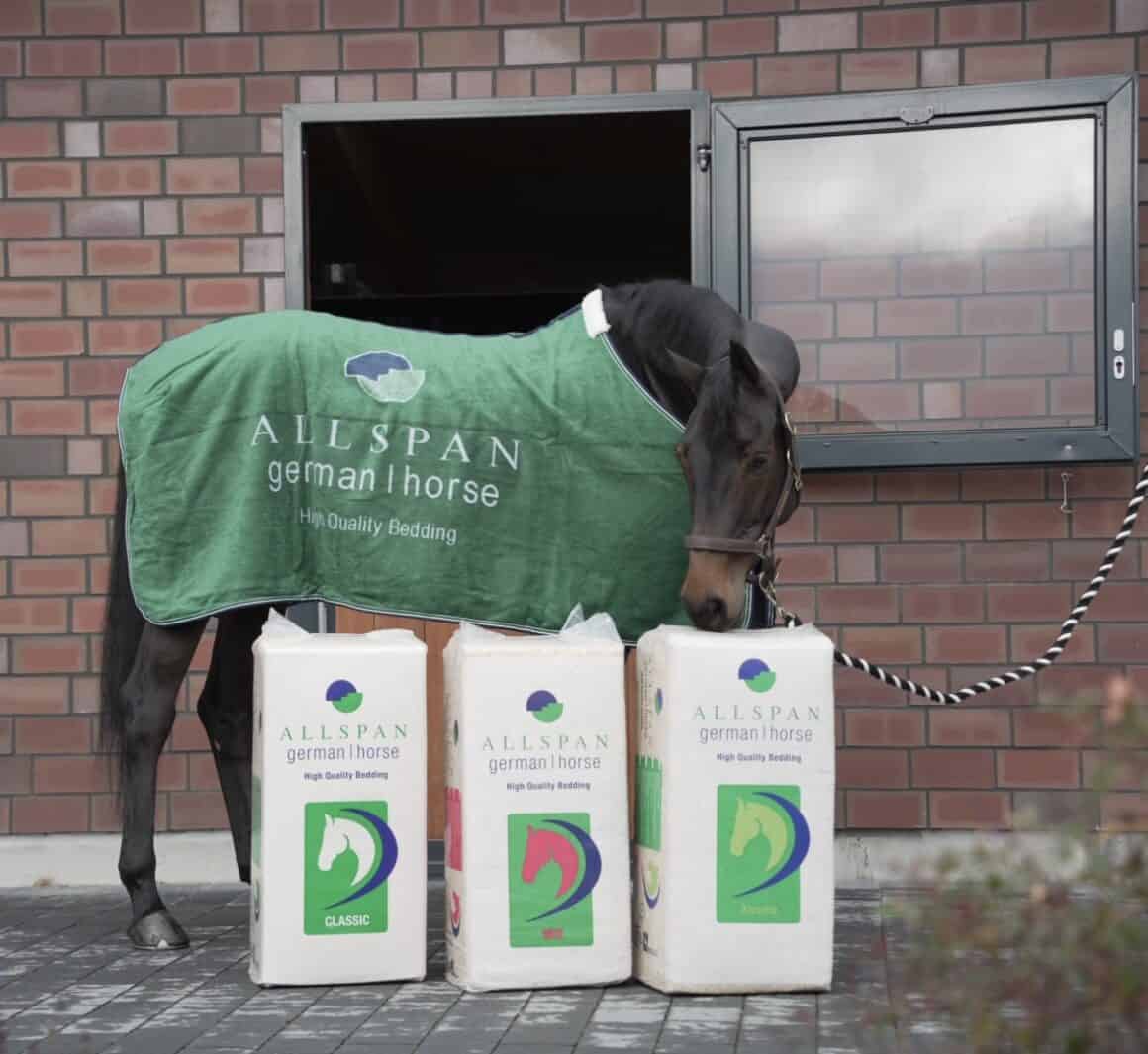 Gewinnspiel Adventkalender #1: EQWO.net x Allspan German Horse! © Allspan German Horse