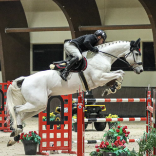 Markus Saurugg (ST) und Obora's Crunchy Nut sprangen im Weltcup von Samorin sensationell auf Platz zwei! © Julia Hantke