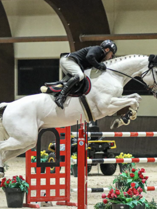 Markus Saurugg (ST) und Obora's Crunchy Nut sprangen im Weltcup von Samorin sensationell auf Platz zwei! © Julia Hantke