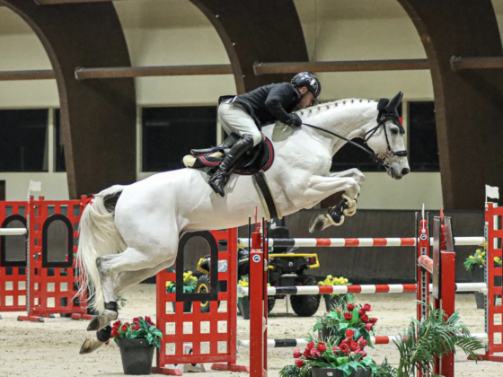 Markus Saurugg (ST) und Obora's Crunchy Nut sprangen im Weltcup von Samorin sensationell auf Platz zwei! © Julia Hantke