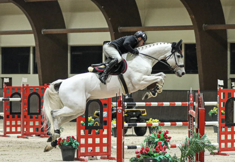 Markus Saurugg (ST) und Obora's Crunchy Nut sprangen im Weltcup von Samorin sensationell auf Platz zwei! © Julia Hantke