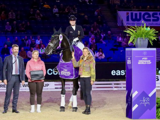 Isabell Werth (GER) und Wendy de Fontaine siegten mit fast 80 % im Weltcup-Grand Prix von Stuttgart. IG: Stuttgart German Masters