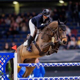 Schock! Alessandra Reich's (OÖ) Stute Anyway van het Kervijnhof Z verletzte sich bei den Stuttgart German Masters und musste operiert werden. © privat