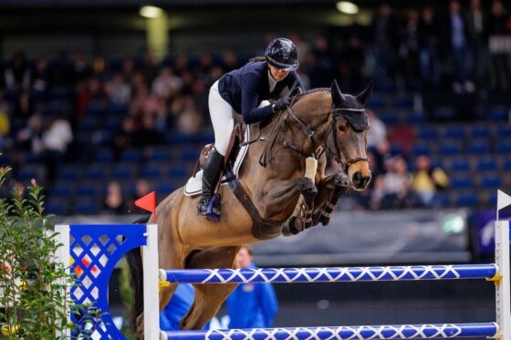 Schock! Alessandra Reich's (OÖ) Stute Anyway van het Kervijnhof Z verletzte sich bei den Stuttgart German Masters und musste operiert werden. © privat