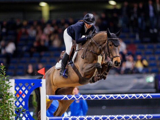 Schock! Alessandra Reich's (OÖ) Stute Anyway van het Kervijnhof Z verletzte sich bei den Stuttgart German Masters und musste operiert werden. © privat