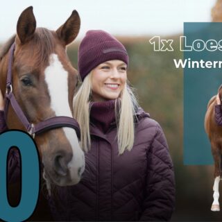 Am 10. Dezember verlosen EQWO.net und Loesdau einen Cheval de Luxe Wintermantel! © EQWO.net