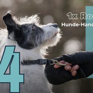 Pferdebesitzer = Hundebesitzer. Stimmts, oder haben wir recht? © EQWO.net