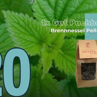 Am 20. Dezember gibt es bei EQWO.net 1 kg Brennnessel-Pellets zu gewinnen! © EQWO.net