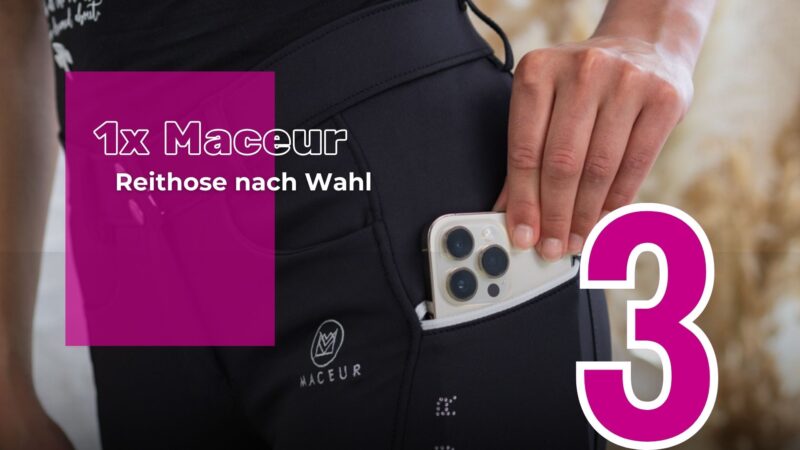 Türchen Nr. 3: Wir verlosen eine Maceur Reithose nach Wahl! © EQWO.net