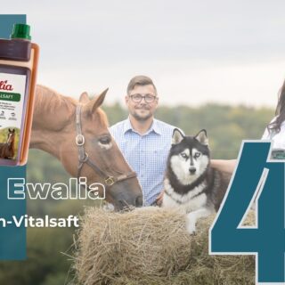 3 EQWO.net User:innen haben die Chance auf einen hochwertigen Ewalia Immun-Vitalsaft! © EQWO.net