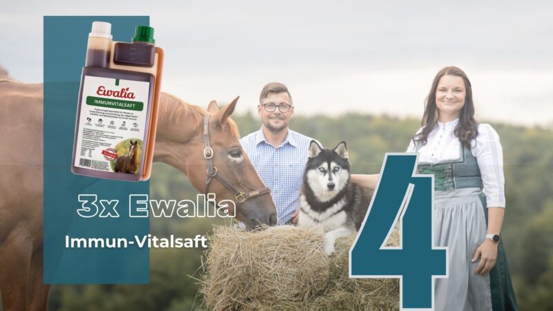 3 EQWO.net User:innen haben die Chance auf einen hochwertigen Ewalia Immun-Vitalsaft! © EQWO.net