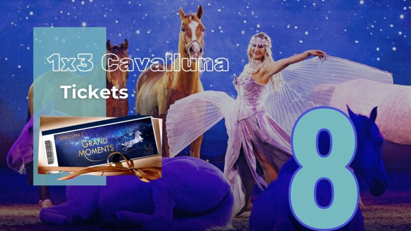 Adventsonntag-Special! Heute gibt es 1x3 Tickets für die Cavalluna Show "Grand Moments" zu gewinnen! © EQWO.net