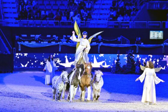 NEU! Der EQWO.net Show Award: Wieviele Hufeisen bekommen die Amadeus Horse Indoors Familien Show? © OneKlickFoto