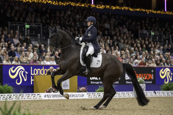 Diana Porsche dirigierte ihren Dahoud in London zweimal zu neuer persönlicher Bestleistung! © Jon Stroud Media