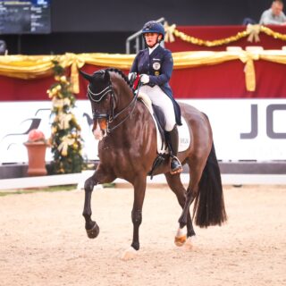 Diana Porsche (S) und Dahoud platzierten sich im CDI3* von Salzburg zweimal auf Rang zwei. © Alice Benes