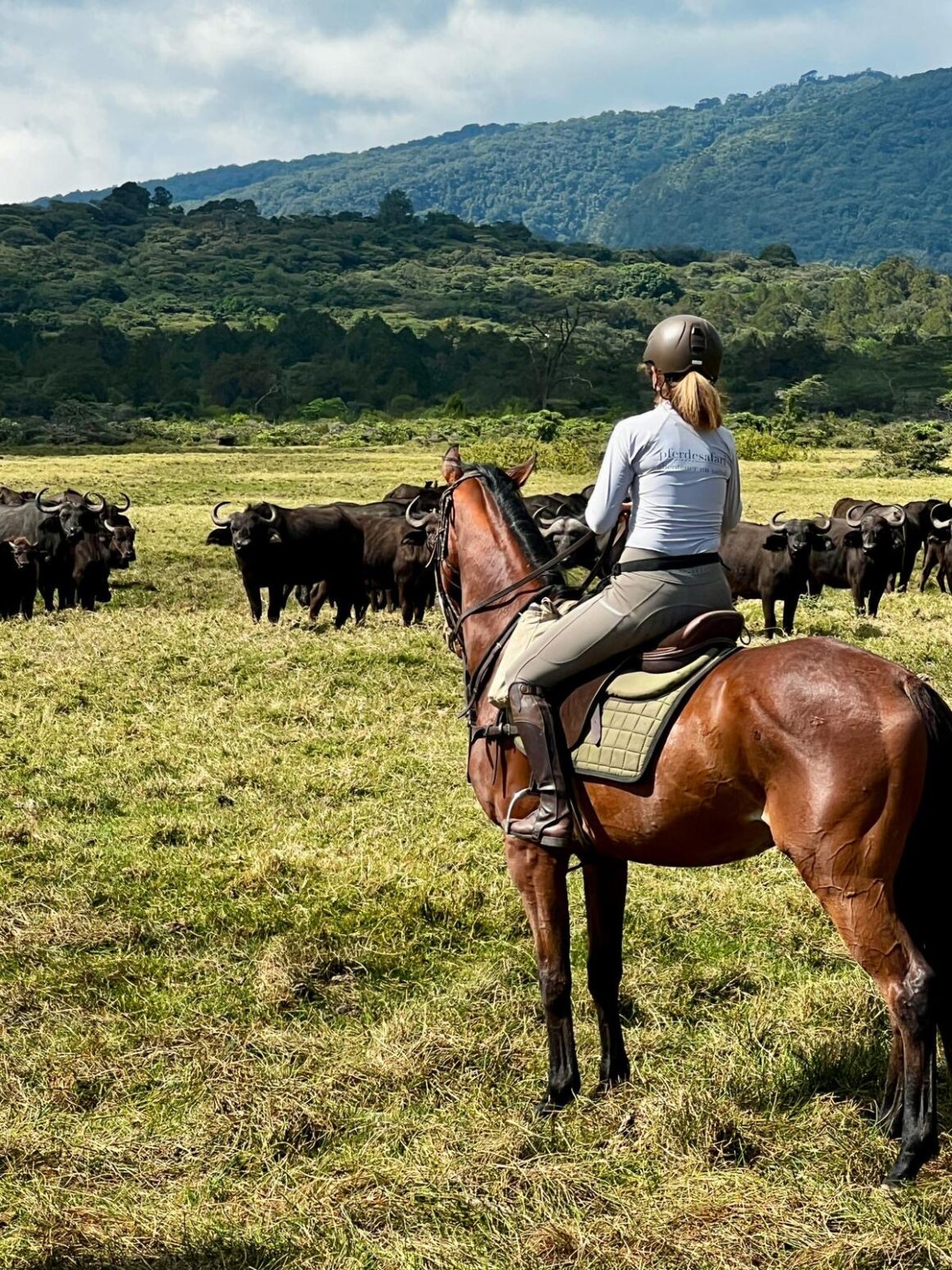 Der Traum einer jeden Reiter:in: eine Safari zu Pferd. © pferdesafari.de